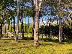-深圳龙潭公园