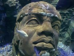 -成都浩海立方海洋公园