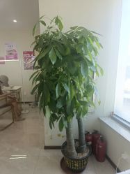 -瞧·享轻奢美甲美睫