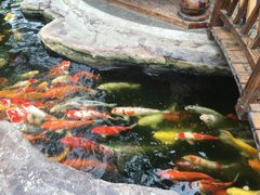 -龙达温泉生态城