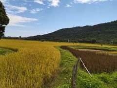 -风云岭森林公园