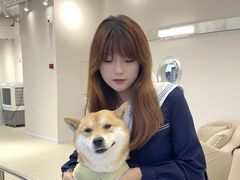 -怪兽屋·羊驼·猫咖·狗咖(俊华广场店)