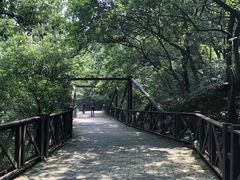 -宝岩生态观光园