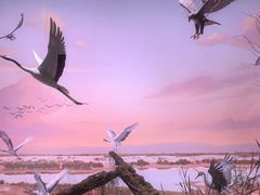 -中国湿地博物馆