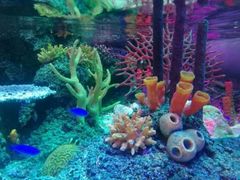 -沈阳海洋探索中心