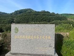 -龙井村