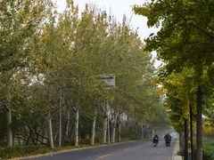 -香山公园