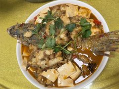 -煲来饱去冷水鱼