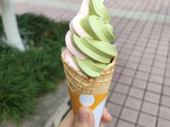 -西南政法大学(渝北校区)
