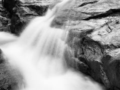 -广州白江湖森林公园