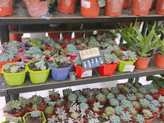 -青岛利群四方购物广场