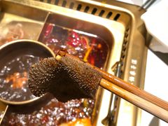 雾都特色毛肚-雾都渣渣火锅(南城智汇城店)