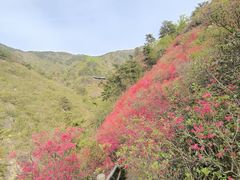 -木兰云雾山