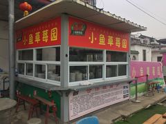 -小鱼草莓采摘园农家乐·小鱼餐厅