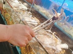 -苏格里岛自助烤肉海鲜火锅(成都金牛万达店)