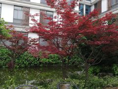 -太湖湾开元名庭大酒店