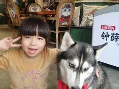 -more than meow吴止猫主题餐厅(承德 中船汇店)