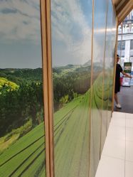 -悦诗风吟innisfree