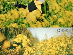 -前小桔亲子创意农场·草莓采摘·露营烧烤