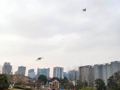 -龙潭水乡