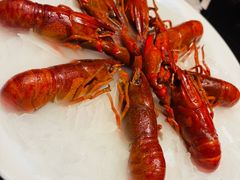 -红盔甲·小龙虾(人民广场店)