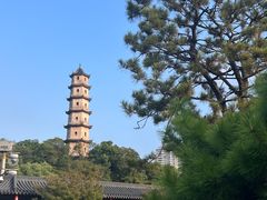 -江心屿景区