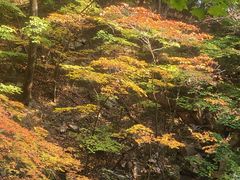 -三块石国家森林公园