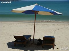 狗狗在避暑-DiAtas by Art Cafe Bumbu Bali