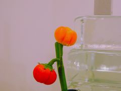 -福州大楼写字楼