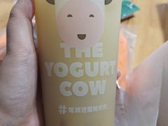 -一只酸奶牛(益州国际店)