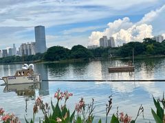 -南宁南湖公园