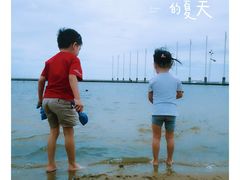 -碧海金沙