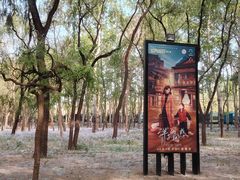 -枫花园汽车电影院(朝阳公园店)