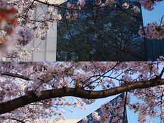-龙美术馆(西岸馆)