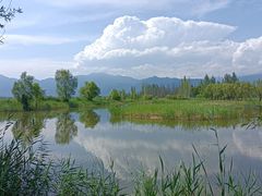 -野鸭湖国家湿地公园