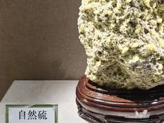 -北京中医药大学-中医药博物馆