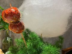 蒲公英糖葫芦-小大董·烤鸭(五棵松店)