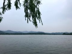 -浙江西子宾馆·牡丹厅