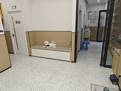 -瑞派康怡24h宠物医院·犬猫医疗中心·微创绝育(瑞景分院)