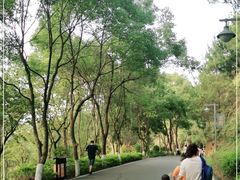 -神光山国家森林公园