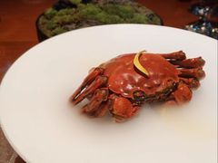 -觀芷隐轩