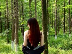 -艾溪湖湿地公园