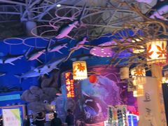 -烟台海昌鲸鲨海洋公园