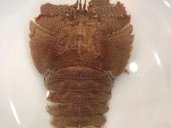 -澜悦港海鲜体验主题餐厅