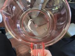 -雅鲁激流探险漂流