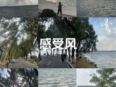 -丁香湖公园