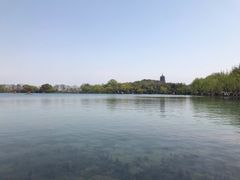 -西湖外事游船(花港观鱼码头)