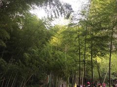 -楠溪江风景名胜区