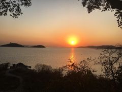 -上海市保健医疗中心