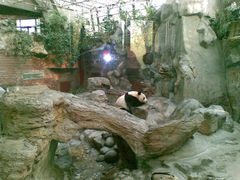 11-北京动物园